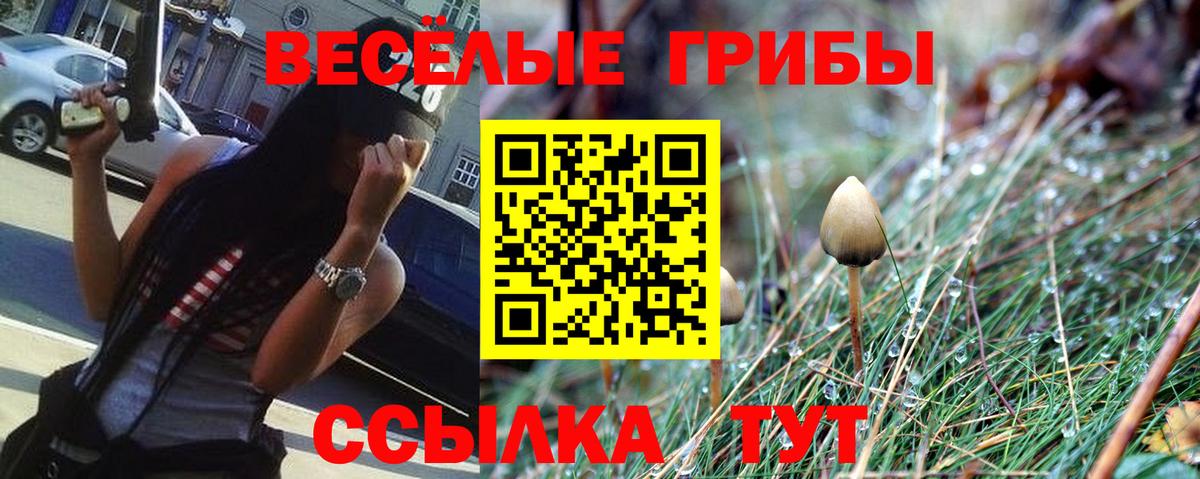 Тихвин  Галлюциногенные грибы Psilocybine cubensis  где найти наркотики  Вход с VPN 