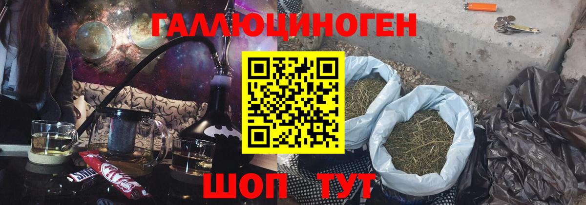 Галлюциногенные грибы Psilocybine cubensis Тихвин
